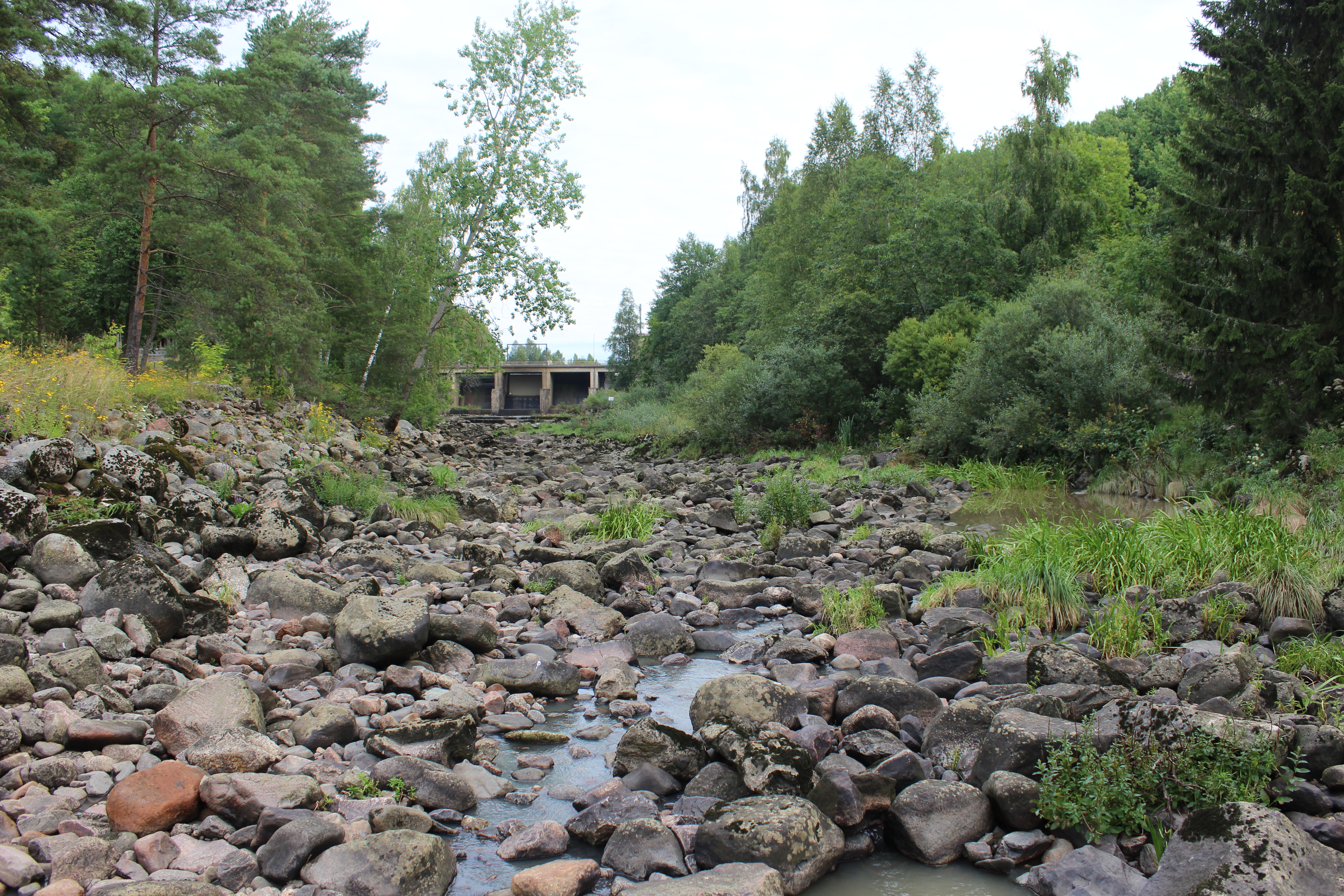 Askalan voimalaitospadon alapuolinen koskialue kärsii virtaaman säännöstelystä.